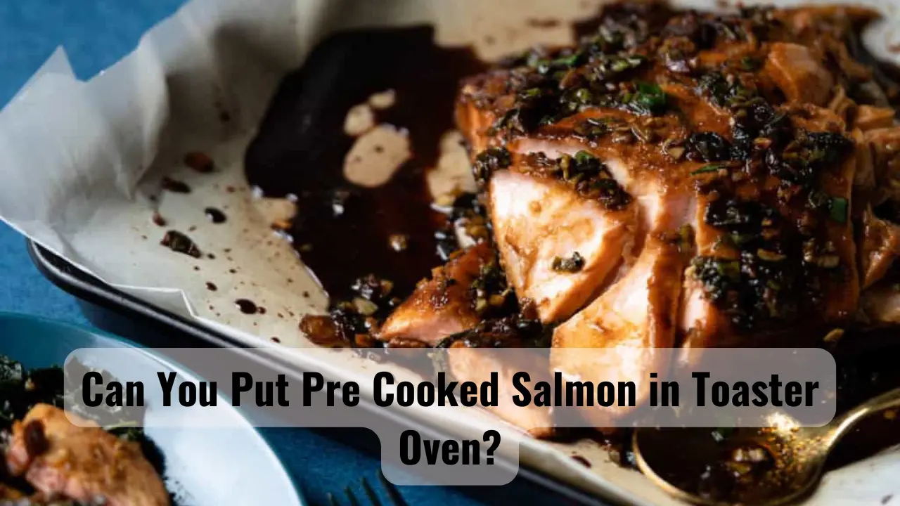 Can You Put Pre Cooked Salmon in Toaster Oven