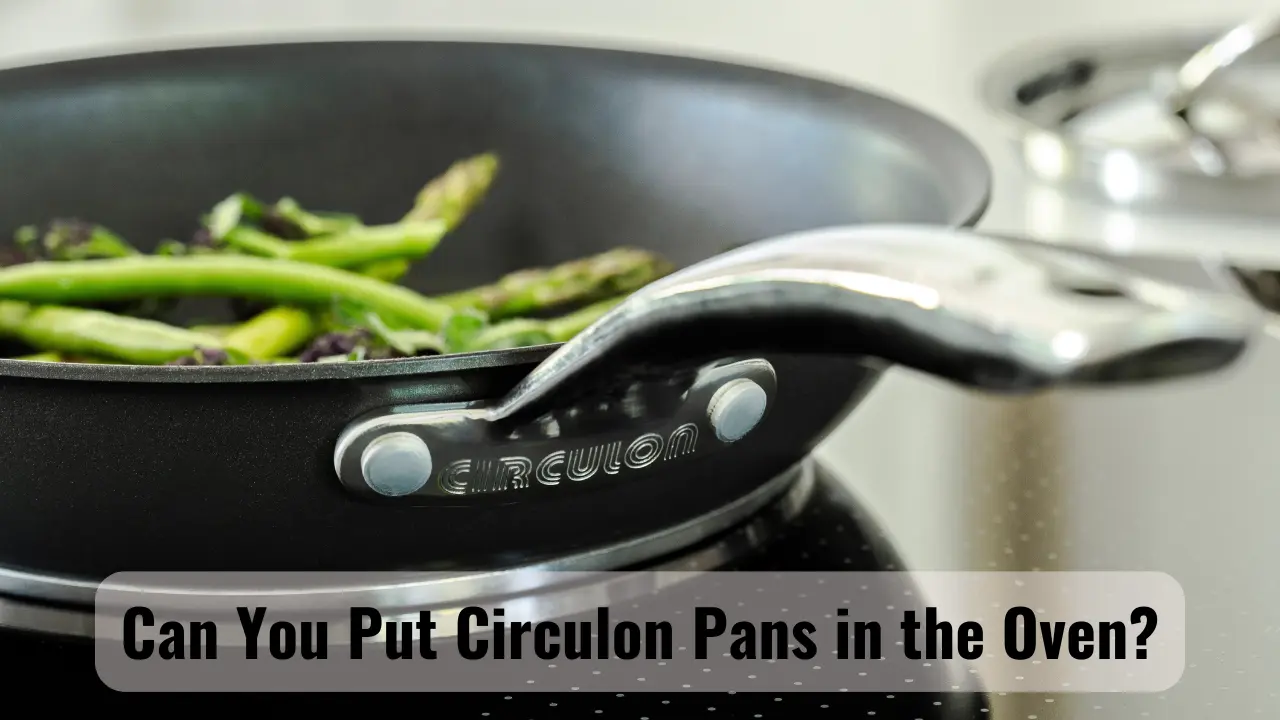 Can You Put Circulon Pans in the Oven