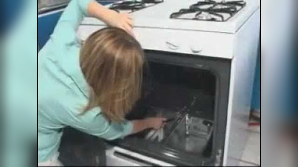 Avanti Oven Not Lighting